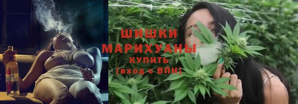 ПСИЛОЦИБИНОВЫЕ ГРИБЫ Абаза