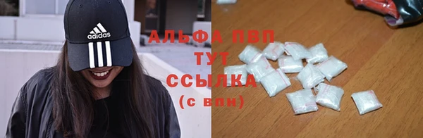 ПСИЛОЦИБИНОВЫЕ ГРИБЫ Абаза