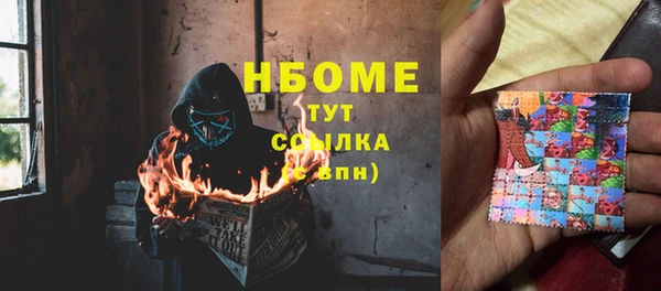 ПСИЛОЦИБИНОВЫЕ ГРИБЫ Абаза